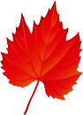 Leaf 2