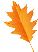 Leaf 3