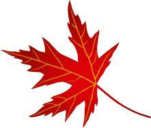 Leaf 4
